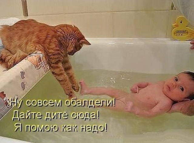 "Залюблю... залюблю!"