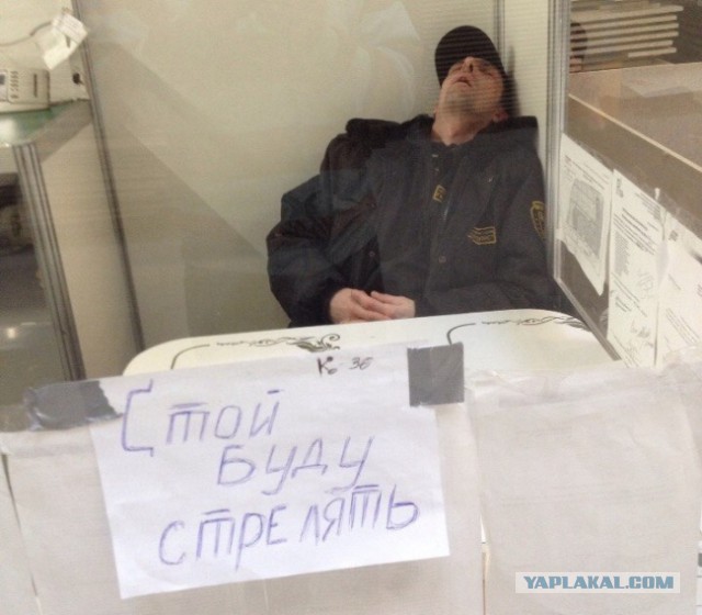 Подборка прикольных фото на среду