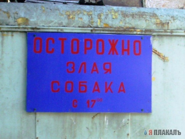 ВЫВЕСКИ, ТАБЛИЧКИ. Смешные и прикольные