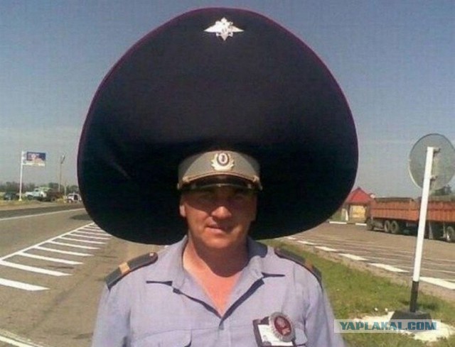 - Скажи-ка, дядя, ведь не даром в кустах ты прячешься с радаром?