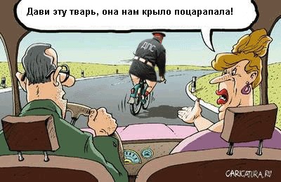 Фотожаба: Смотри на дорогу