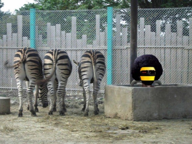 Фотожаба: Невидимый зверь