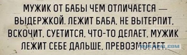 Подборка частицы смеха...