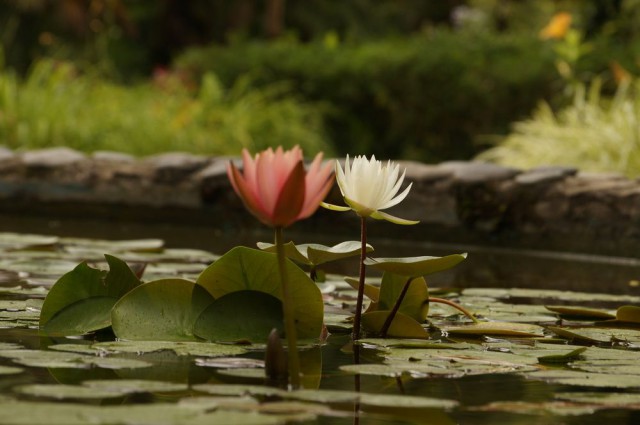 В Абхазию на машине...