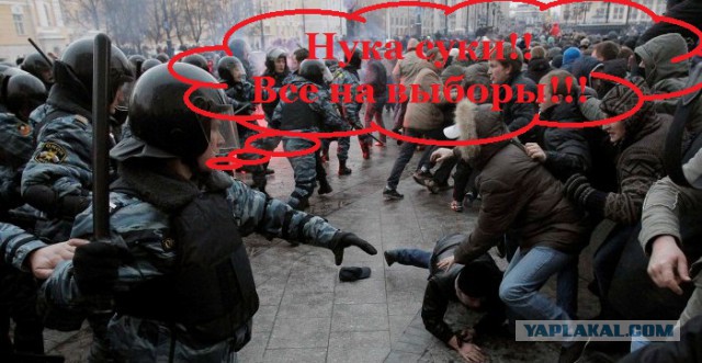 Зачем нужны выборы?