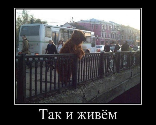 А все остальные страны нам завидуют!