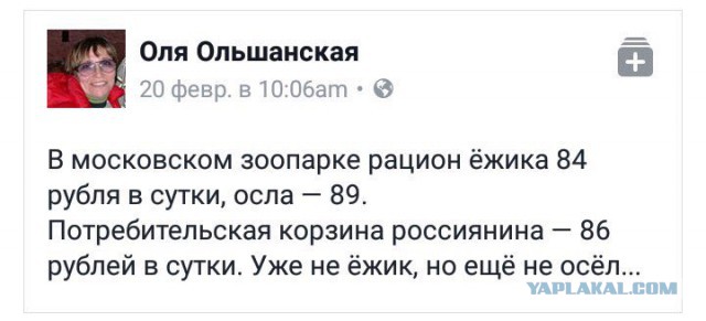 С 27 марта дальнобойщики прекратят поставки товаров по всей России