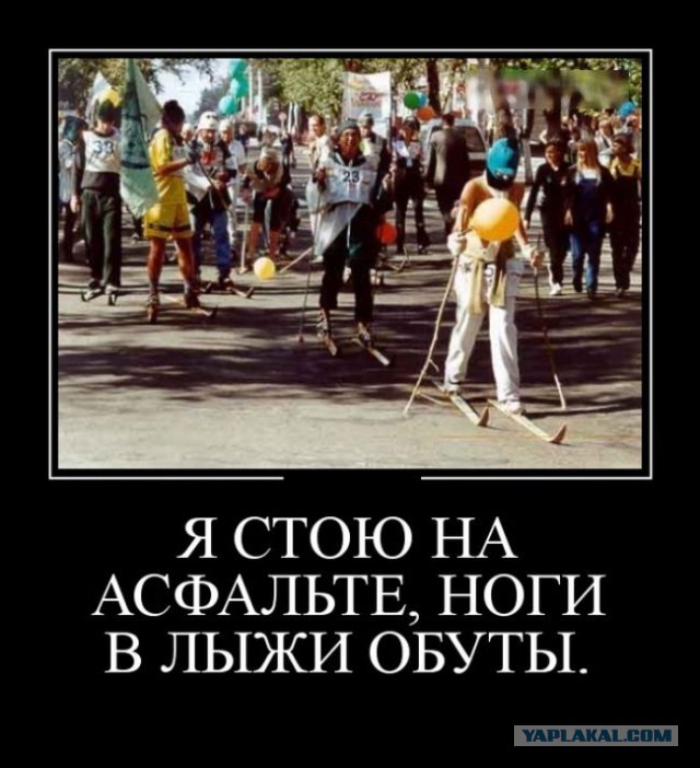 Баяны в чёрных рамках