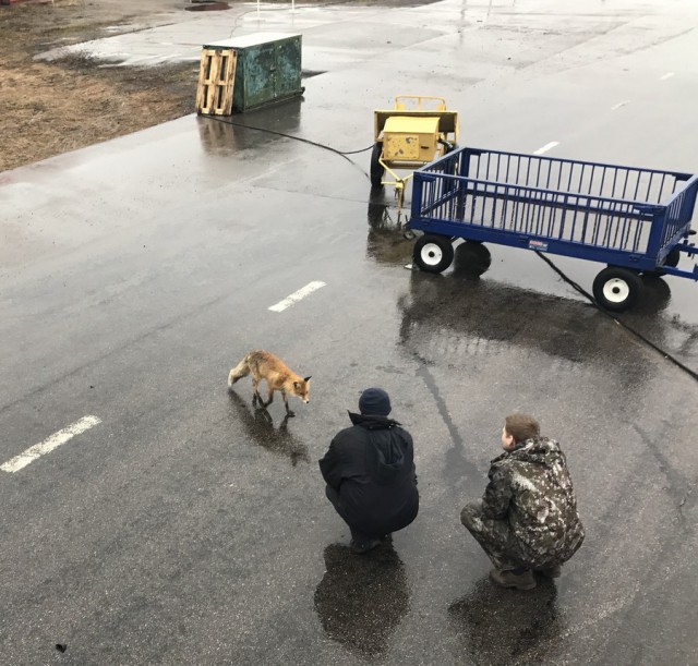 Подборка интересных и веселых картинок