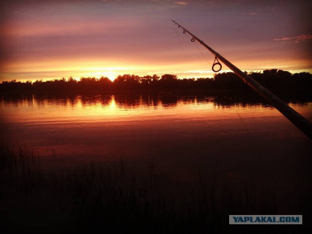 Заповедь рыбака