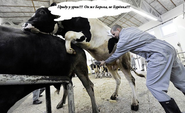 Просто юмор #26