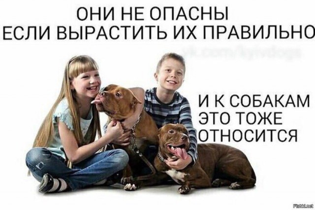 Тренера обвинили в педофилии после того, как он посидел на одном диване с девочкой