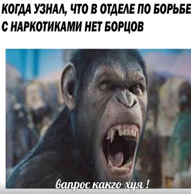 Развиваешься себе, тут опа-на и деградация пришла!