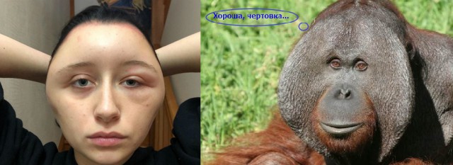 Голова торопливой студентки приобрела форму лампочки