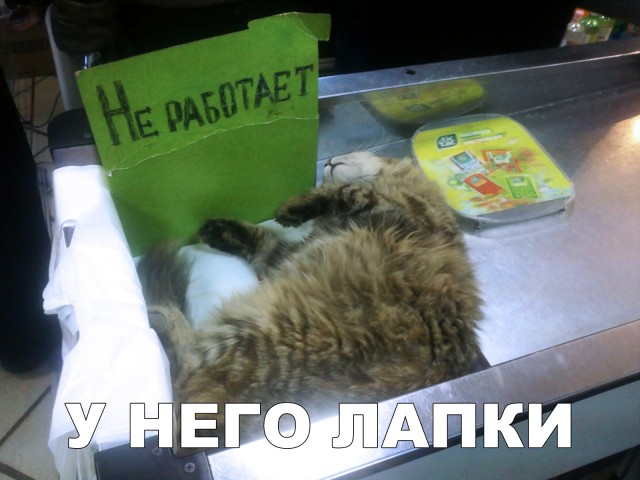 Немного милоты