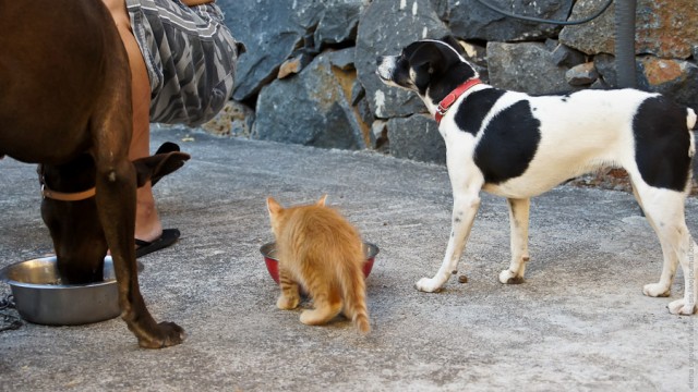 Один мой день. Самый первый!