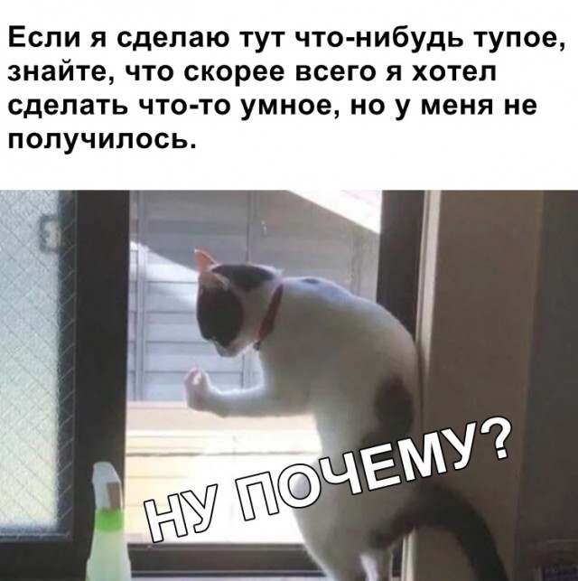 Нестандартный юмор