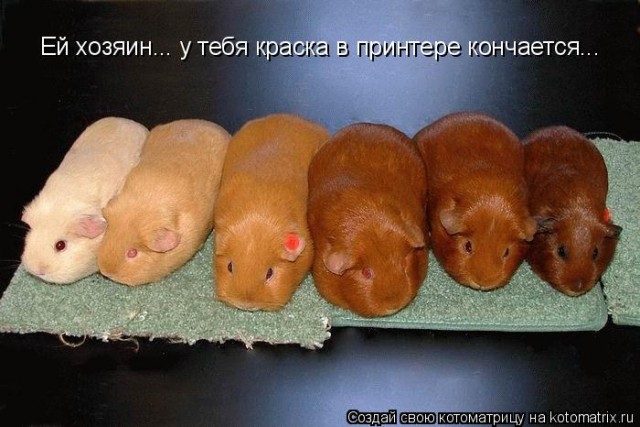 Подброка неинтересных и унылых картинок 22.11.2019
