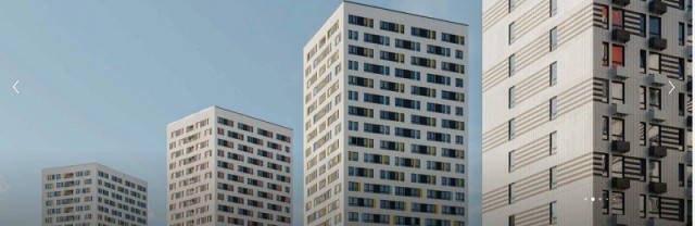 В Мытищах пешеход порезал сотрудника ГИБДД