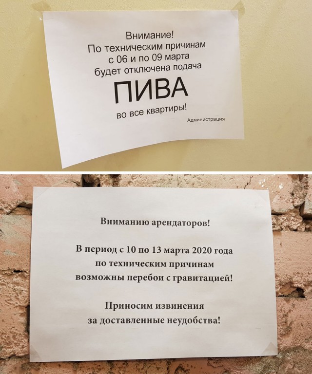 Внимание, внимание!