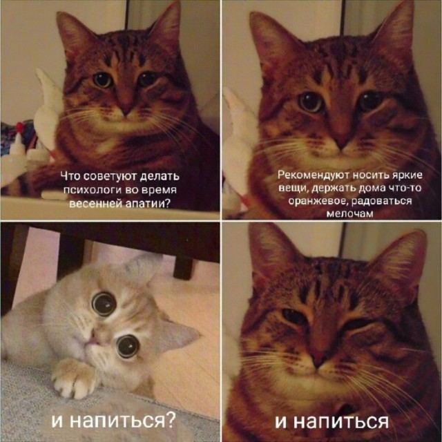 Немного картинок для настроения 21.03.20