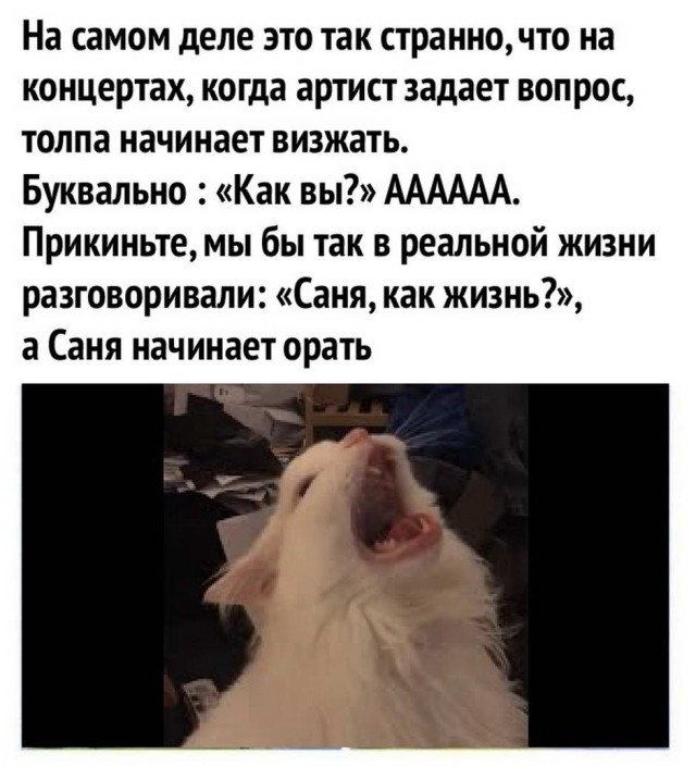 Юмор в картинках 11.12.20