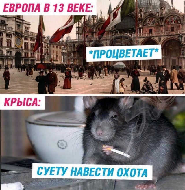 Смешные картинки