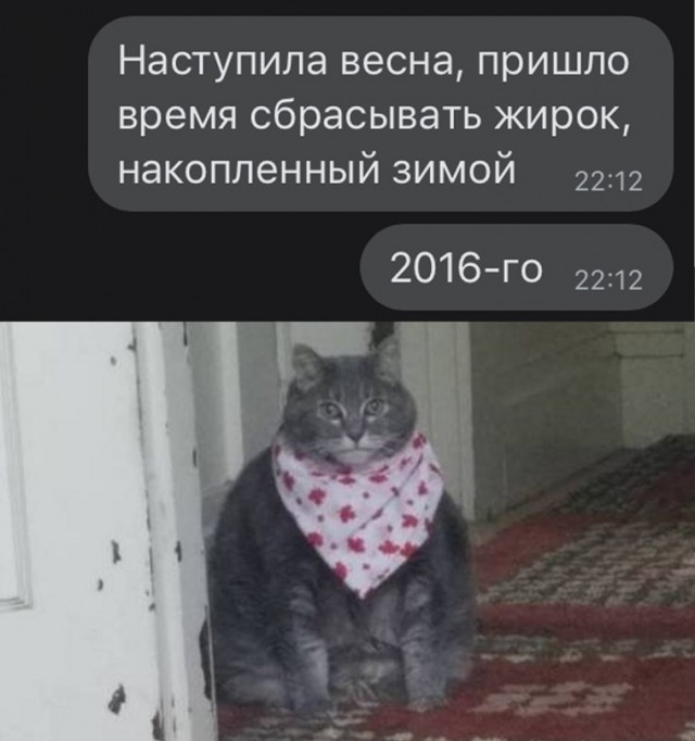 Весёлый полтишок 29.03