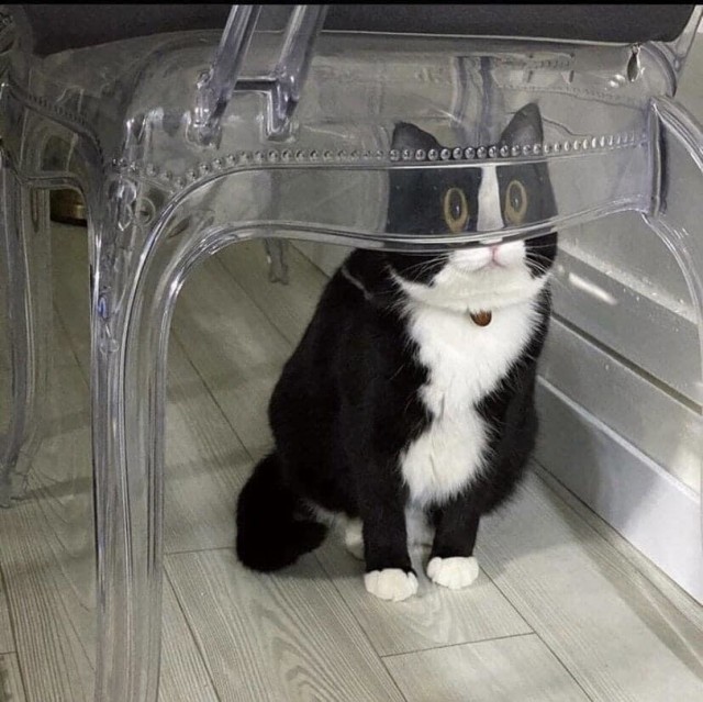 Добрые картинки 28.11.20