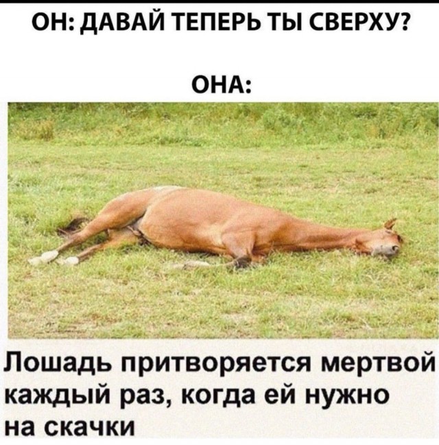 Всяческие картинки