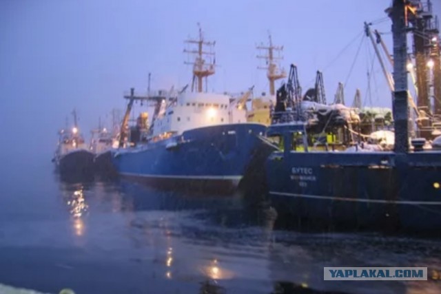 Плоды незалежности: конец Черноморскому морскому пароходству - торговый флот Украины РАЗГРОМЛЕН...