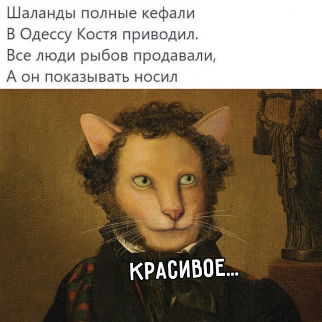Весёлый полтишок 15.08