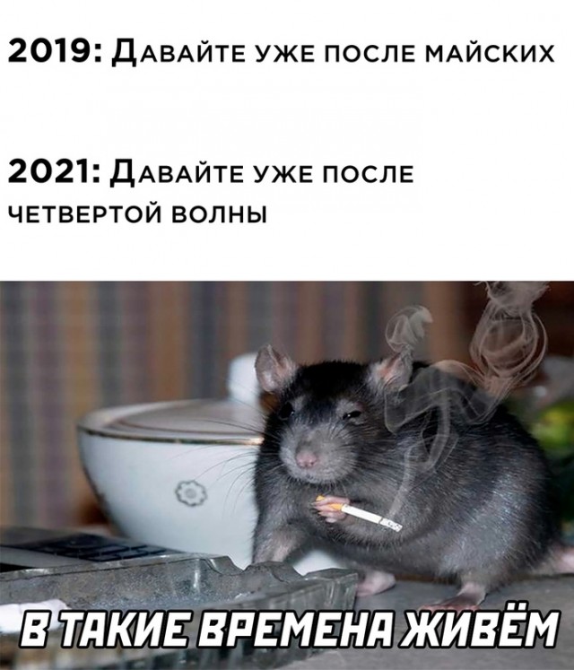 Весёлый полтишок 15.10