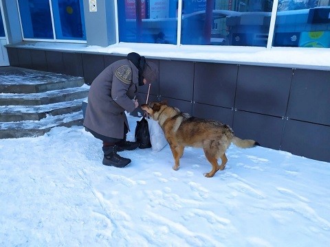 Бабушка в Кирове живет под балконом вместе с собакой