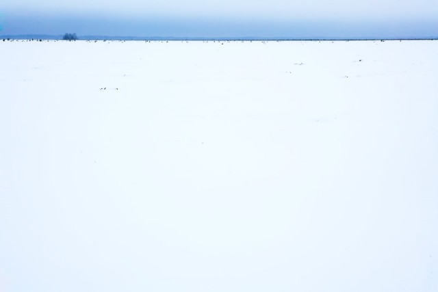 Где же черти зимуют?