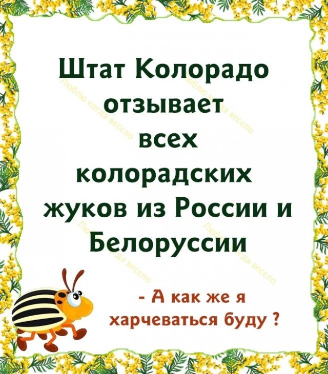 Горе-то какое!