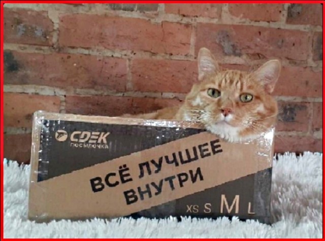 Картинки с надписями и всякие жизненные фразы