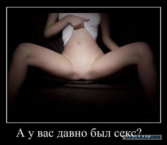 Так себе картинки 19.04.22