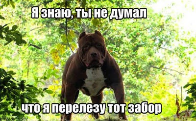 50 оттенков серого. Vol.7 Или самосвал баянов.  50 штук.