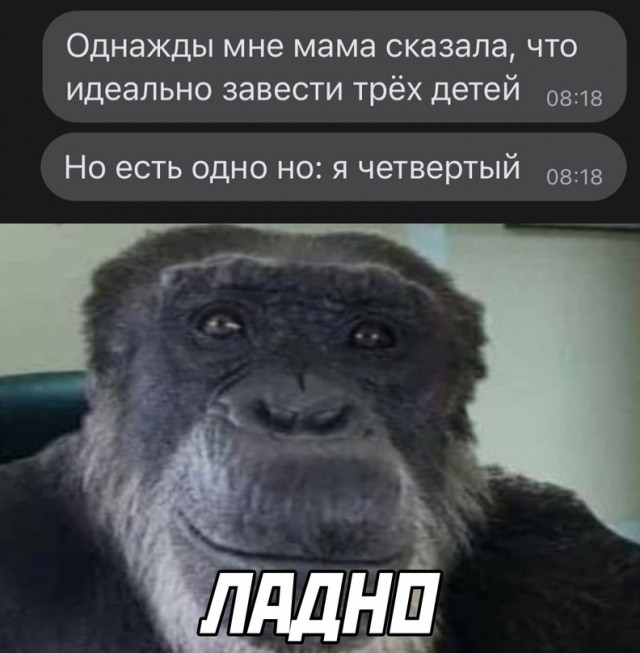 Весёлый полтишок 03.06.22