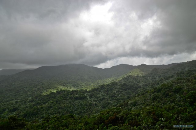 Путешествие по Северной Америке