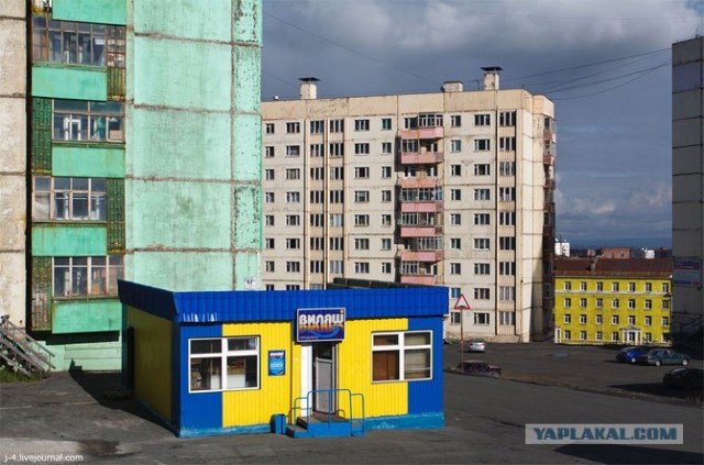 За Полярным кругом. Норильск. Тундра.