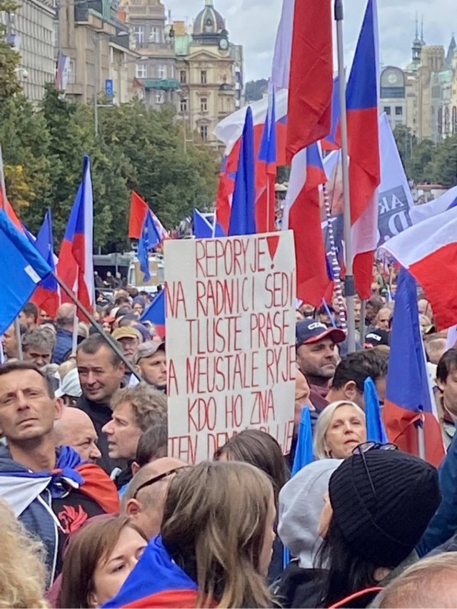 В Чехии снова протесты