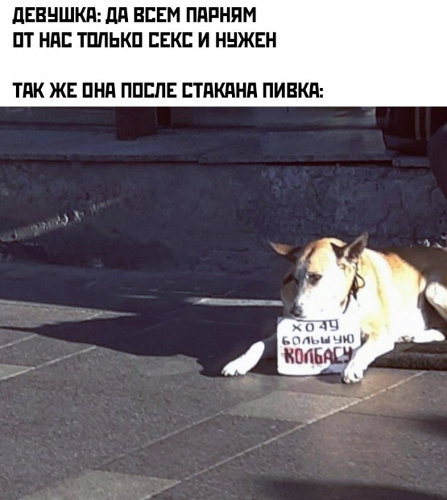 Деградация лайт 14.10.2022
