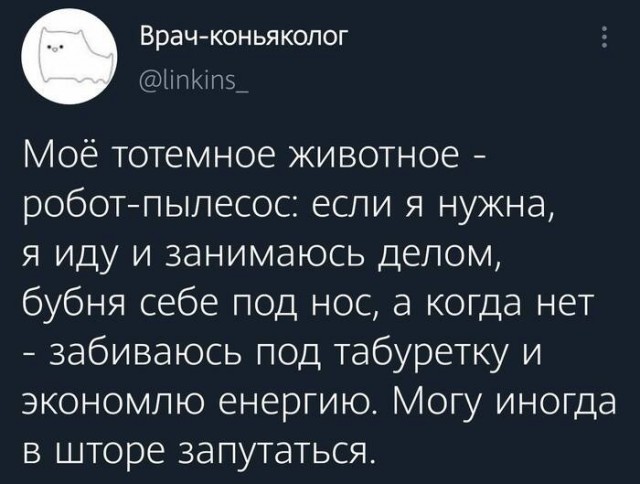 Забавные комментарии из социальных сетей (07.11.22)