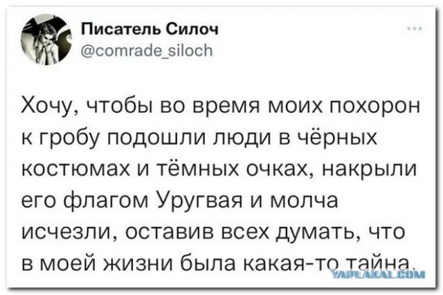 Забавные комментарии из социальных сетей (13.02.23)
