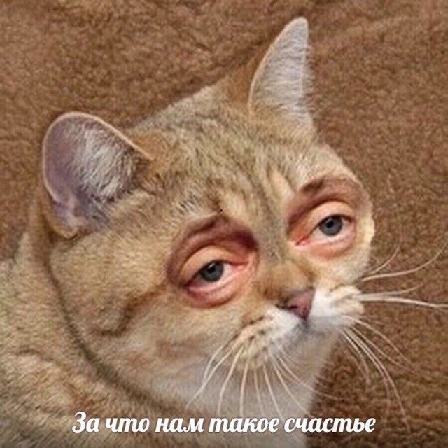 Так себе картинки 23.02.23