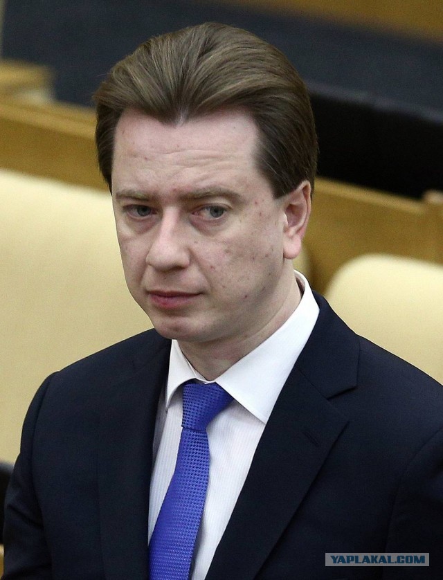 Бездомные собаки насмерть загрызли ребёнка в Оренбурге.