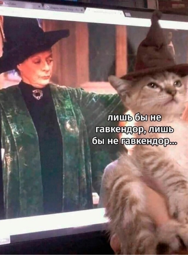 Картинки и мемы, всяко разно - 183