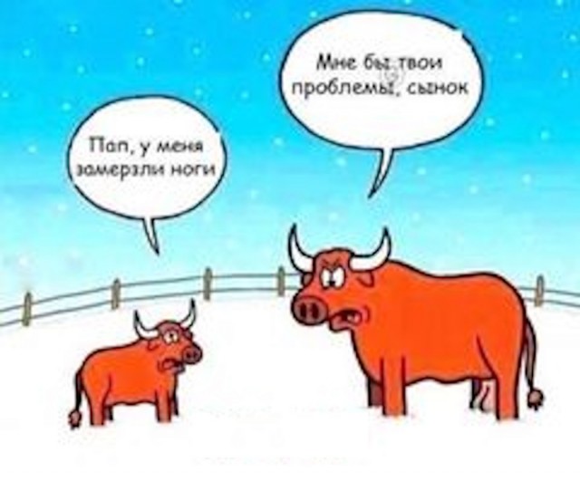 Картинки и мемы, всяко разно - 185
